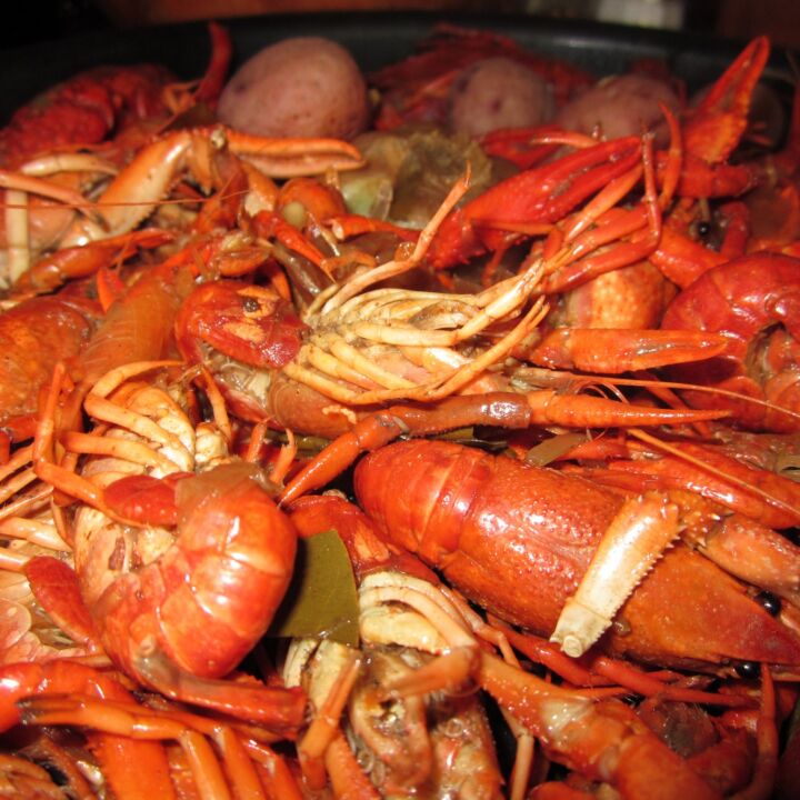 Crawfish